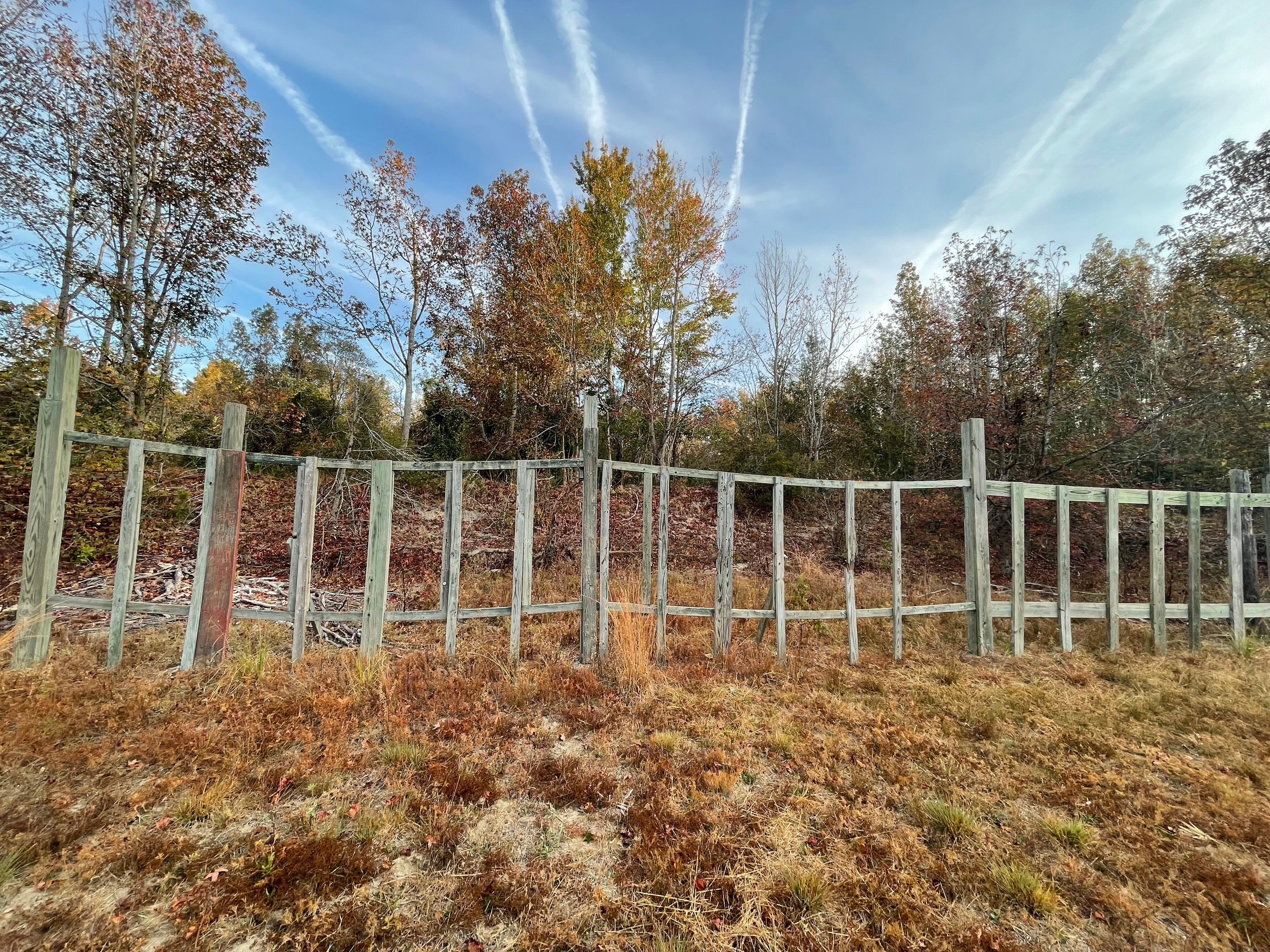 BBJ Forest Management Planning 2