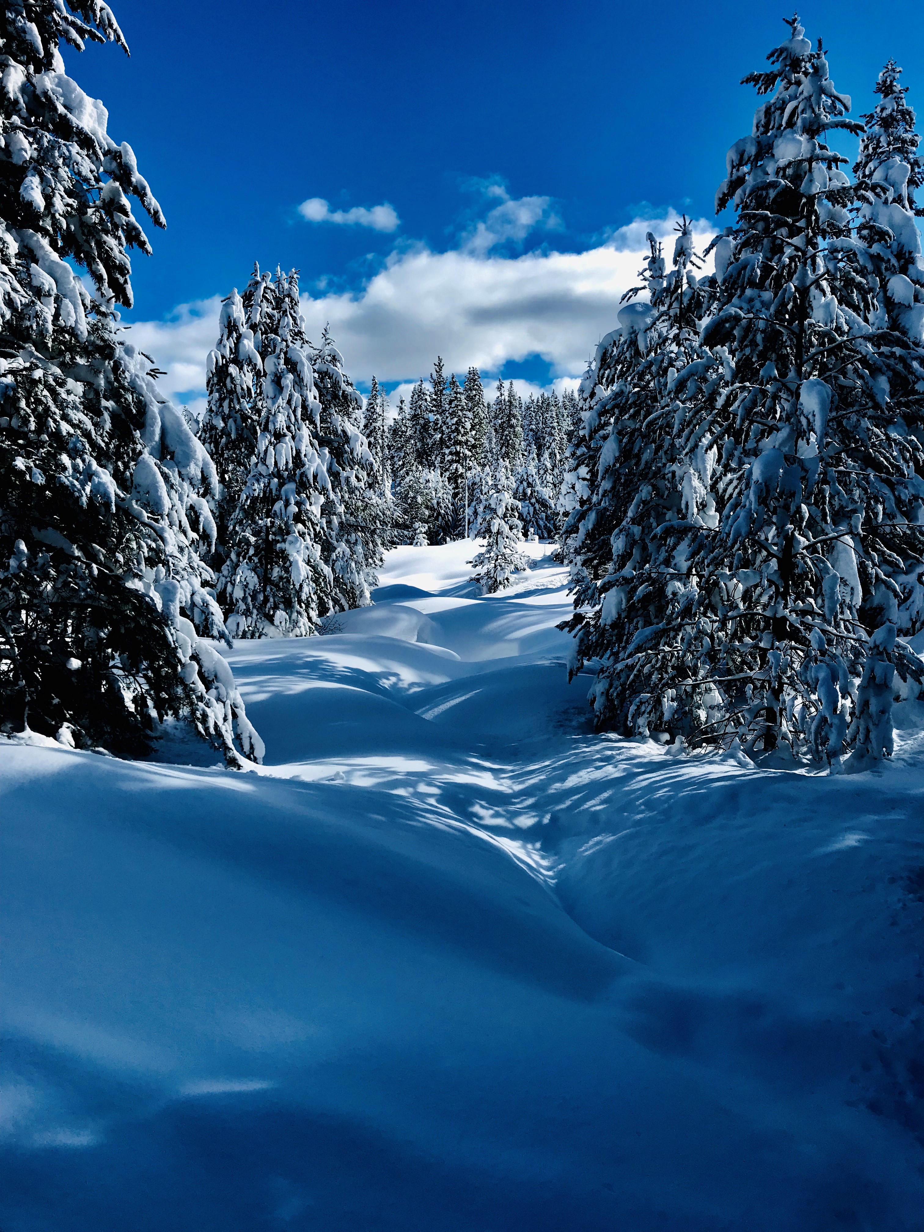 Truckee 2019 snowfield - Copy