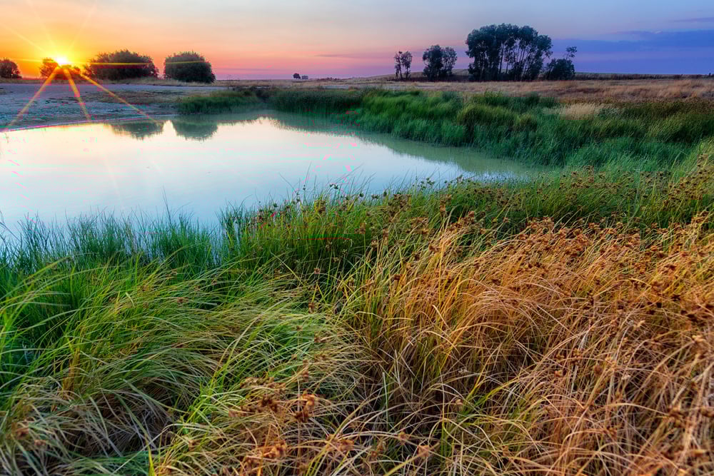 BBJ Wetland Conservation 1