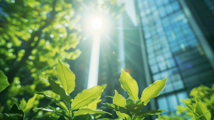 ESG Corporate Strategies