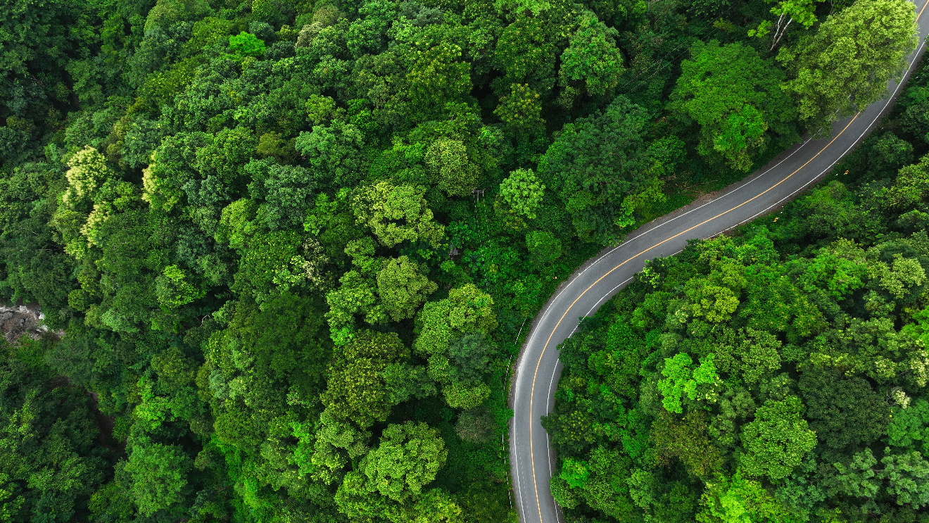 shutterstock_2573920055 PNG